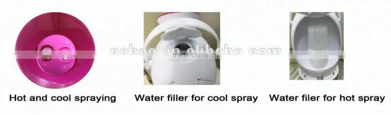 Nano-Ionic personal facial steamer