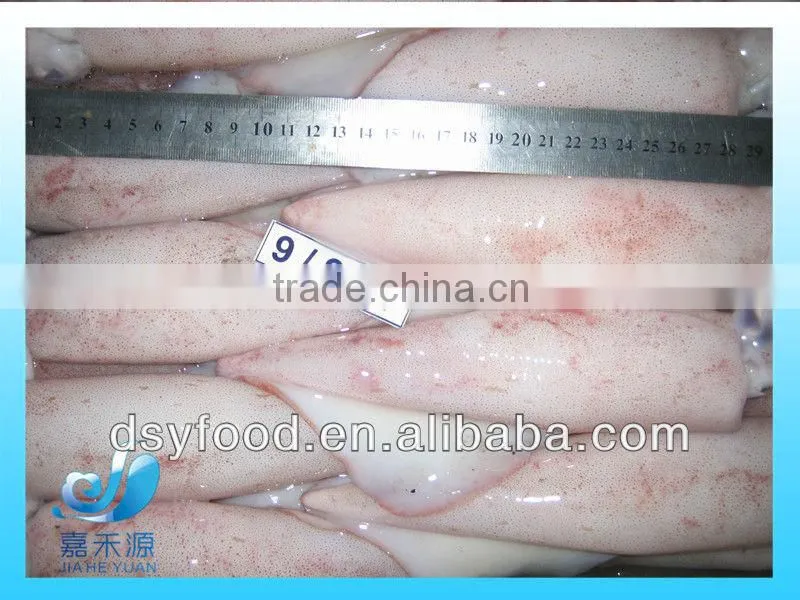 Frozen whole baby Squid