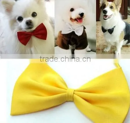 Necklace of pets dogs and cats
