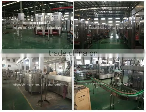 MIC-12-12-1 Micmachinery linear price of mineral water plant mineral water plant
