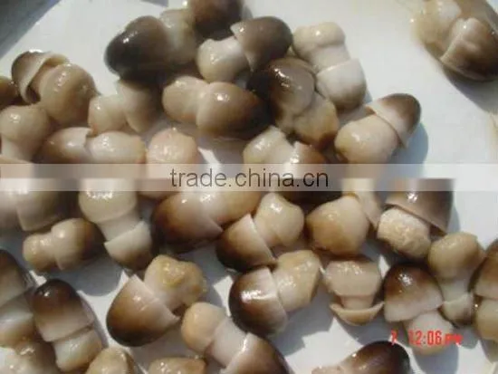Canned Whole Straw Mushroom In Brine