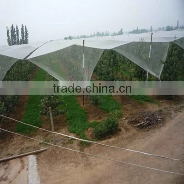 Agricultural Anti-hail Net,anti-hail mesh