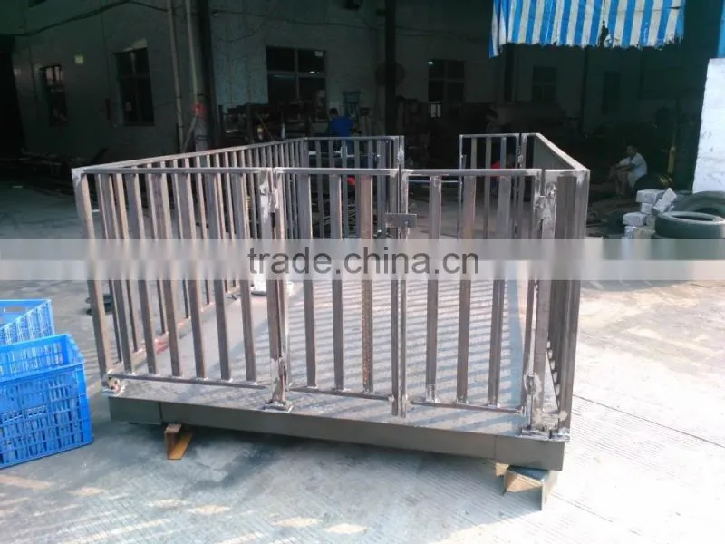 cattle scale