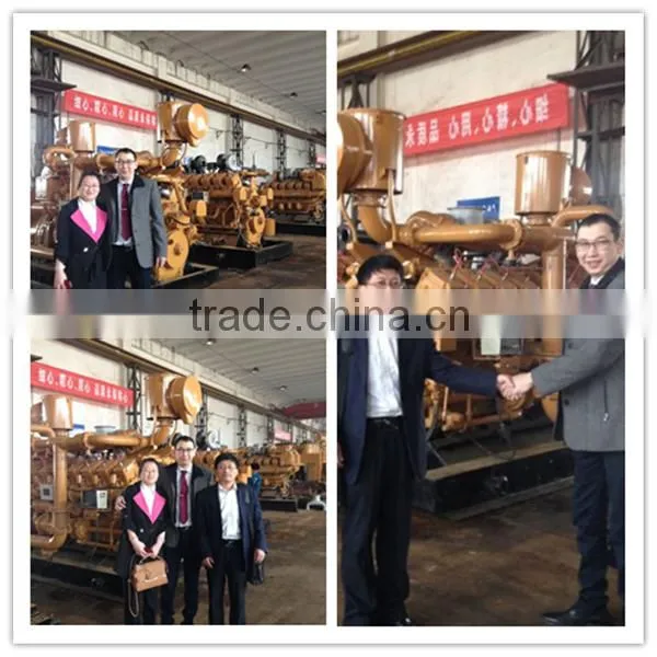 Wood chips Used High efficient CE ISO Siemens Alternator wood gas generator 400KW with syngas power plant