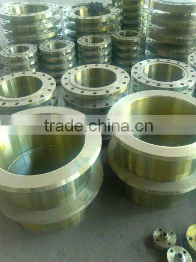 socket weld stub end