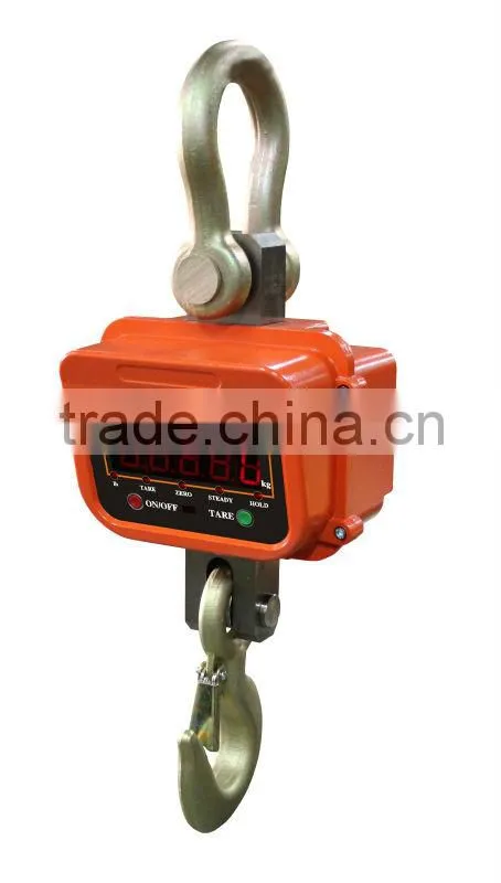 small crane scale
