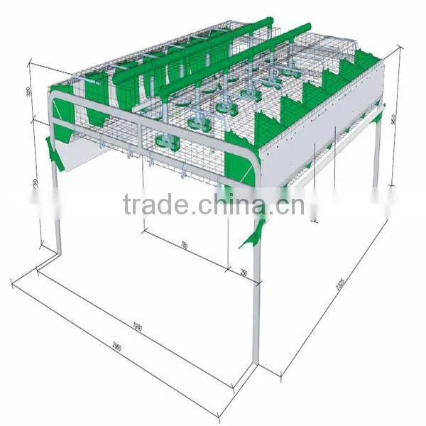 automatic battery cage for rabbit