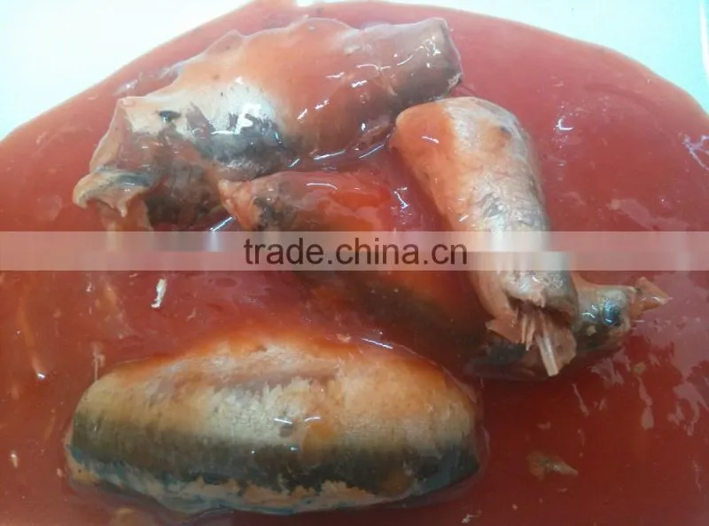All type of canned sardine fish in tomato sauce