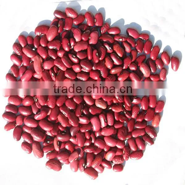 White kidney bean for sale