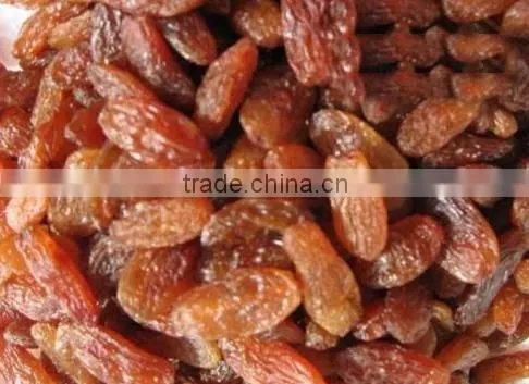 chinese dried raisin