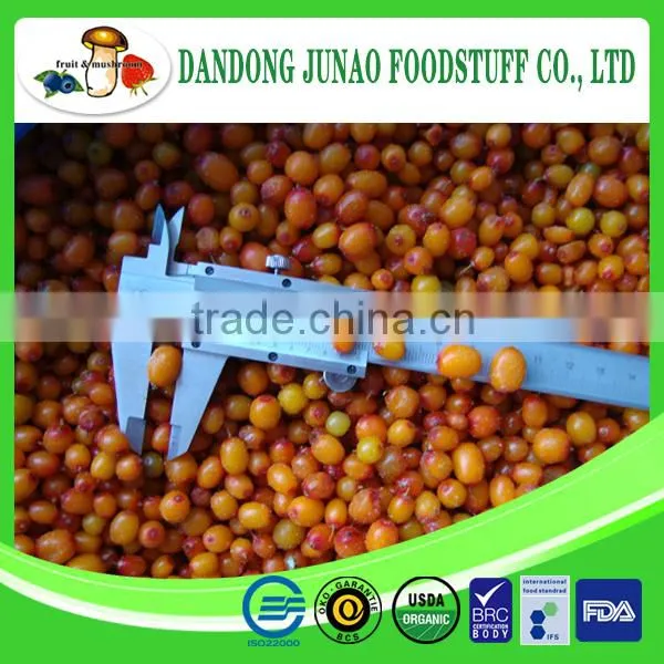 IQF juicy fruit frozen sea buckthorn berries