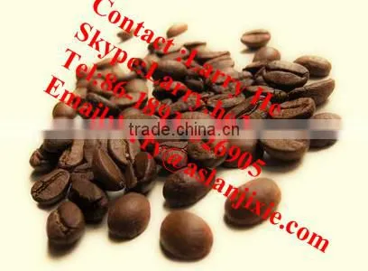 electric coffee bean roasting machine/gas coffee bean roaster