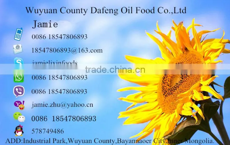 Inner Mongolia Sunflower Seeds 601 With Good Price