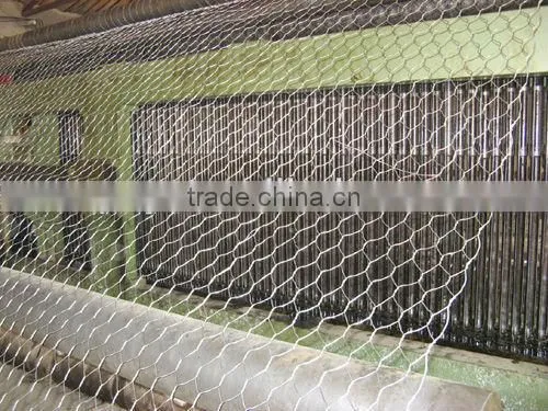 Hexagonal Wire Mesh/Gabion box/wire mesh container