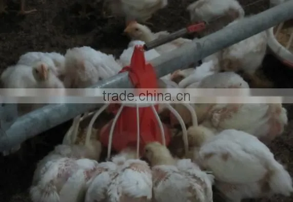 Automatic Poultry Feeding System/Auger Feed System For Poultry
