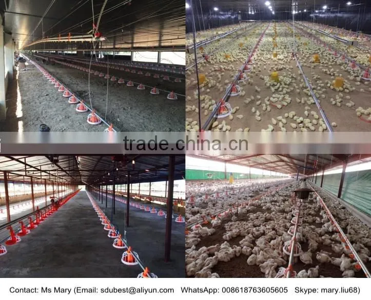 Industrial chicken shed/broiler farm/poultry house construction design