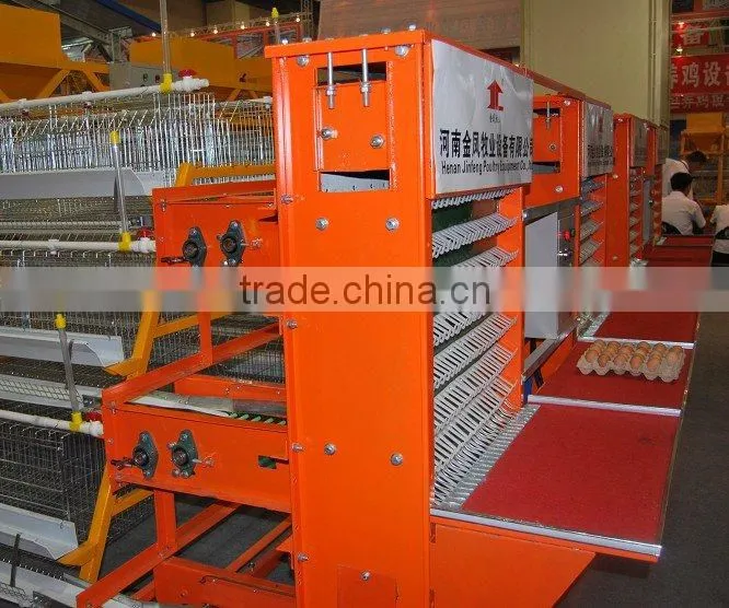 egg collecting machine for chicken farm