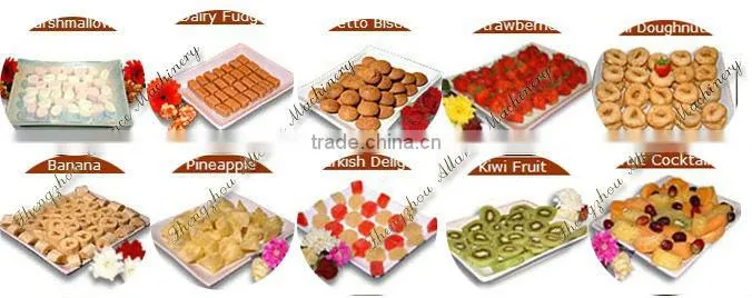 Christmas present chocolate dipping machine