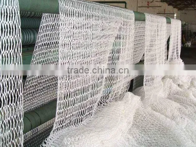 Safety Net