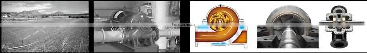 Large capacity split case pump split casing pump double suction pump