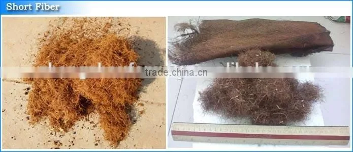 Hot In Indonesia EFB Oil Palm Shredder