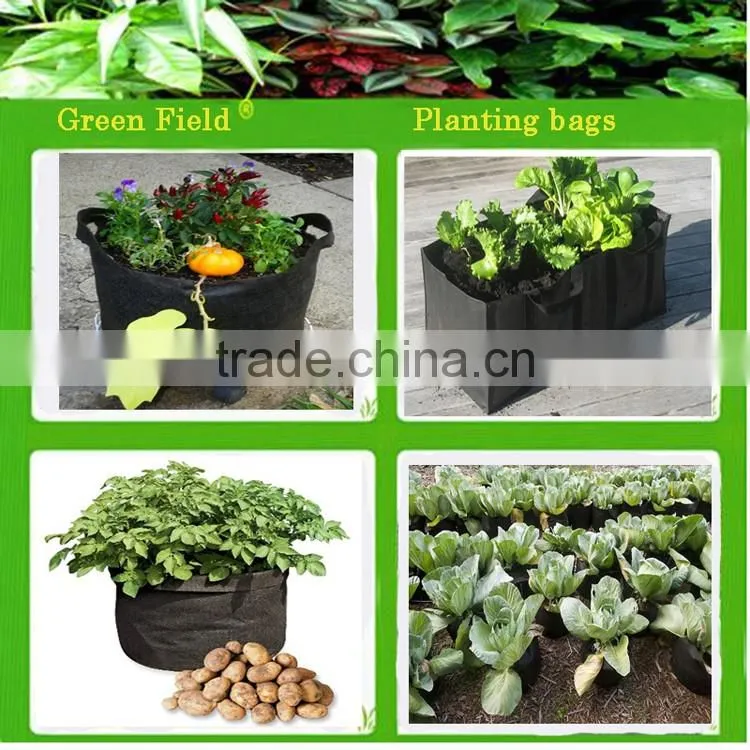home decoration plant pot,eco garden plant pot