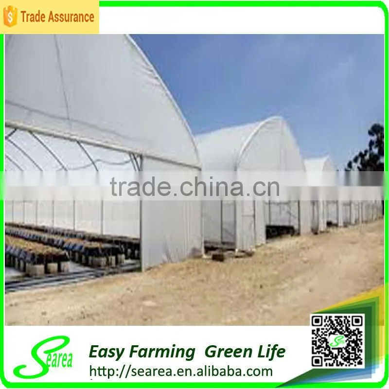 Searea Economical Single Span Greenhouse