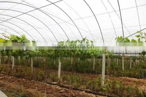 Arch simple greenhouses for sale