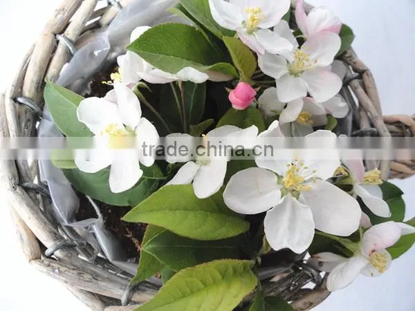 jute plant pot wicker plant pots wall plant pot holder