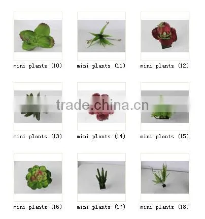 CHY040920 Selling Artificial Plants Succulent tropical Plant Artificial Desert Plants