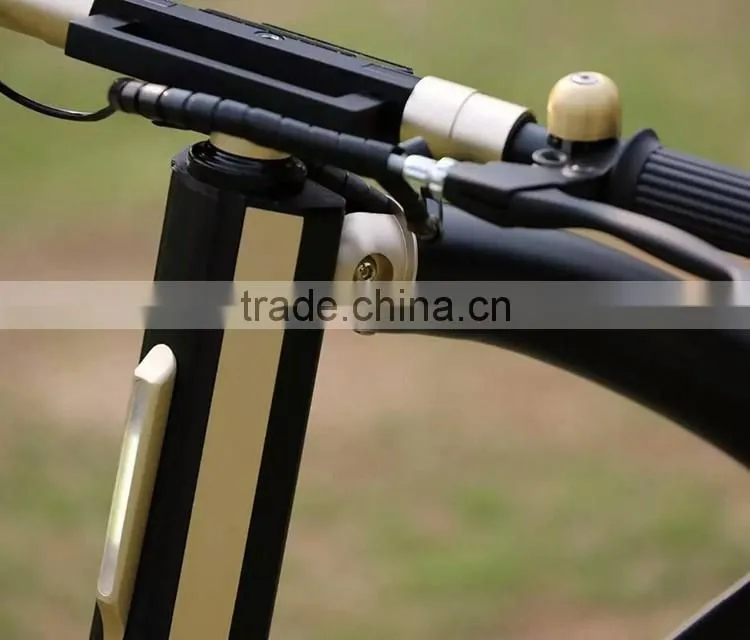 2016 best design portable folding mini electric bicycle motor