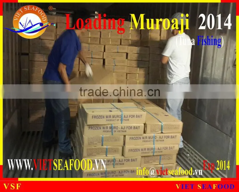 LOADING MUROAJI FOR TUNA BAIT
