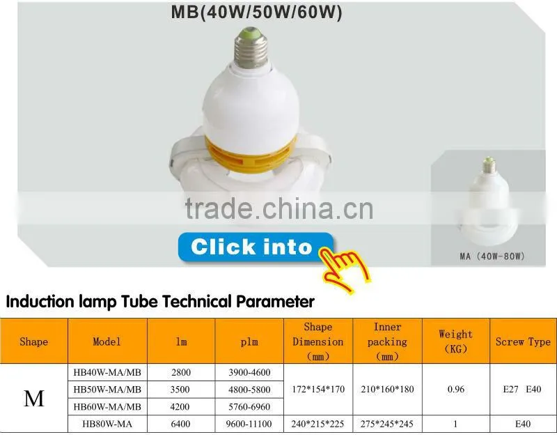 induction high bay light
