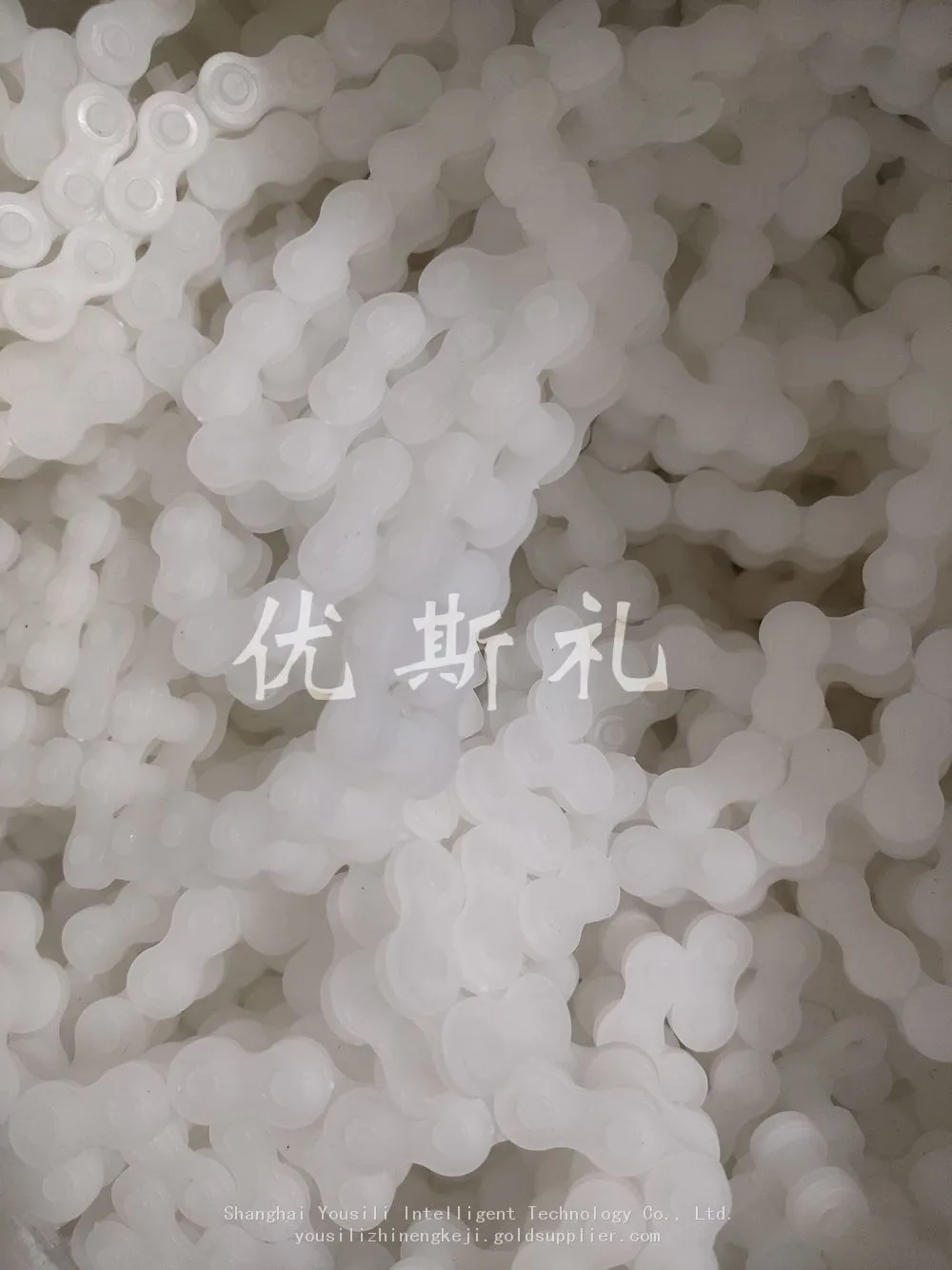 PVDF链条5.jpg