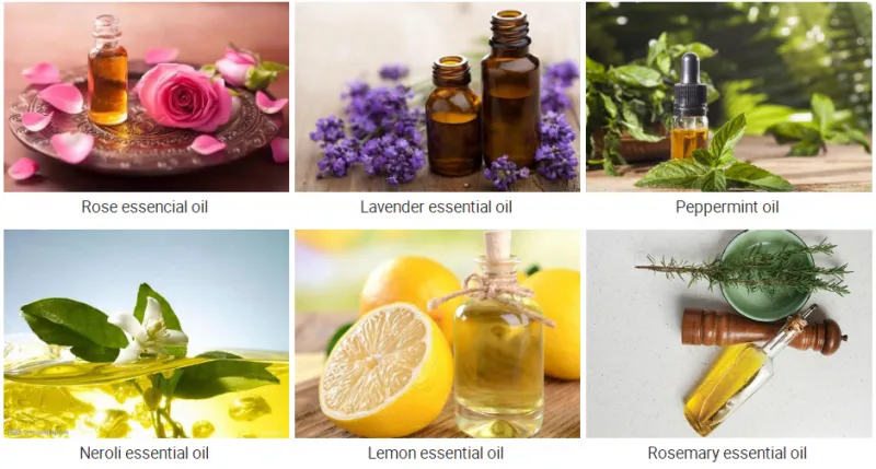 50L Plant Flower Agaric Essential Oil Hydrosol Distiller Distillation Machine Extractor Extraction Machine Extracting Equipment