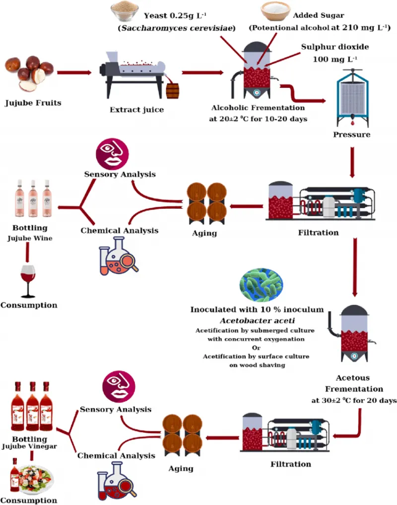 Factory Shanghai Genyond Fruit Wine Fermentation Equipment Making Machine Fruit Vinegar Production Plant Process Line