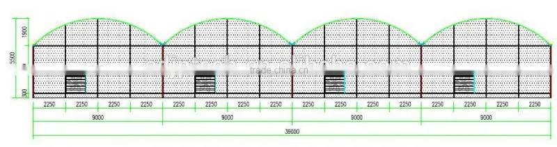 Economical poly greenhouse for agriculture used