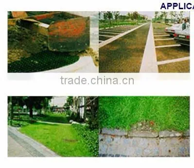 Grass pavers