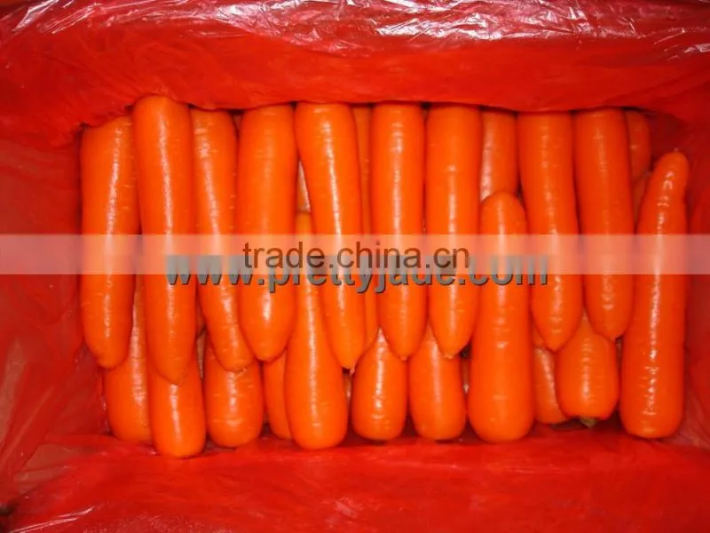 Chinese good quality carrot