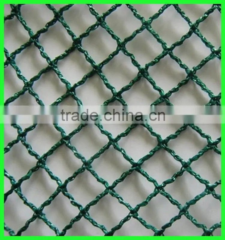 Clear anti bird hail cover net/uv resistance woven mesh net/reinforced hail guard net