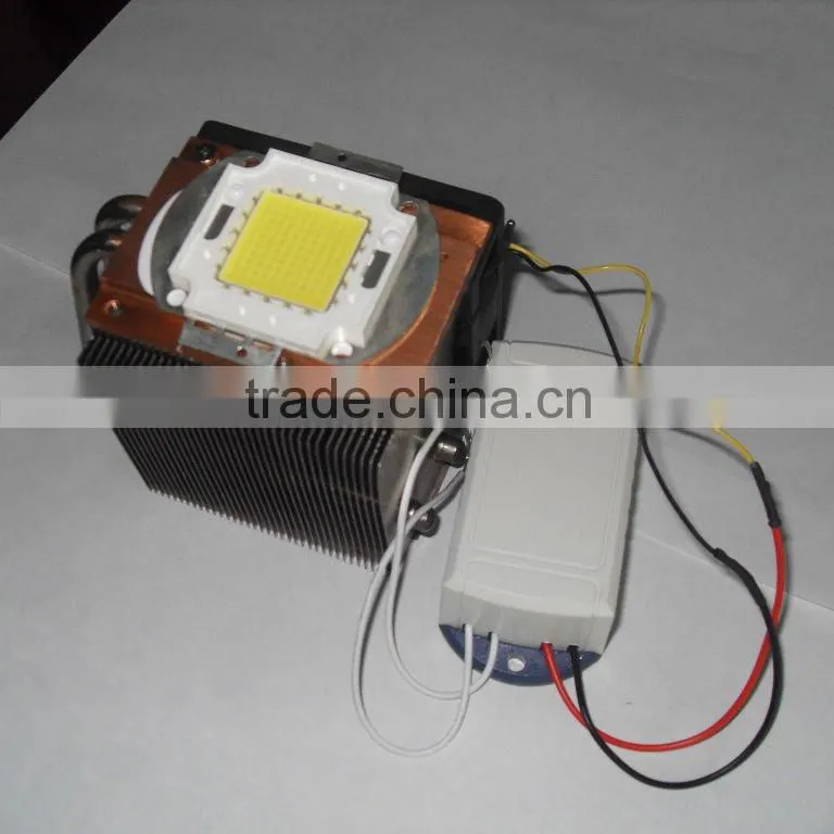 Led chip 100w