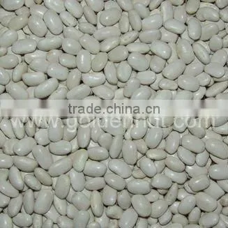 kidney beans