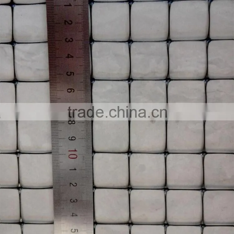 Plastic Netting used Prevent Birds from Attacking Crops