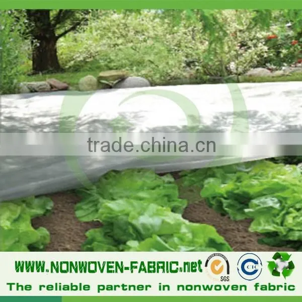 Landscape Item Non woven PP Fabric