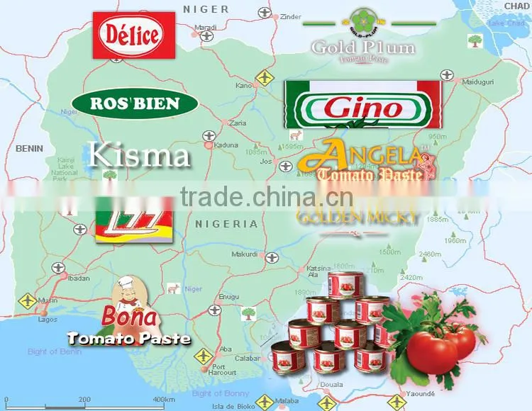 NAFDAC Tomato Paste Brix 28-30% canned 70g - 4500g high quality for Nigerian high end buyer market