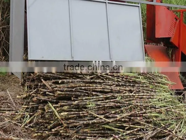 Well-known TAGRM brand sugarcane leaf remover/with two wheels sugarcane leaf peeling machine