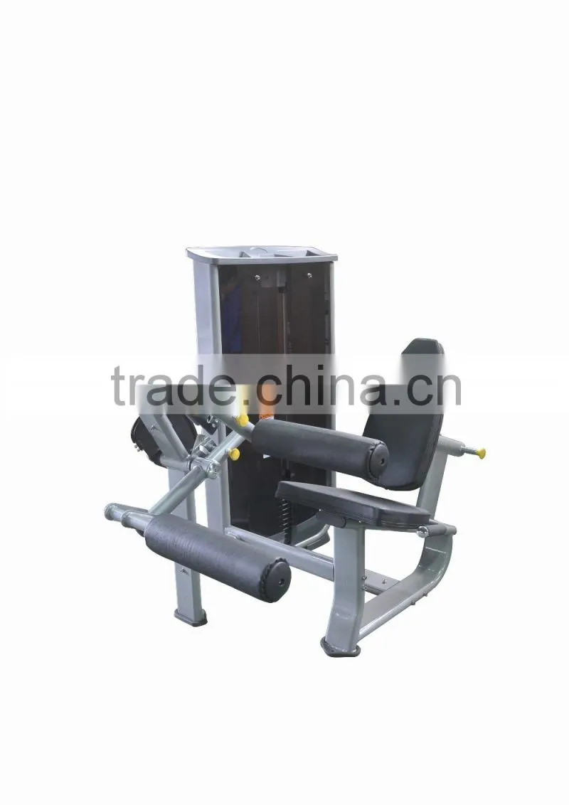 Seated Leg Curl D-1012