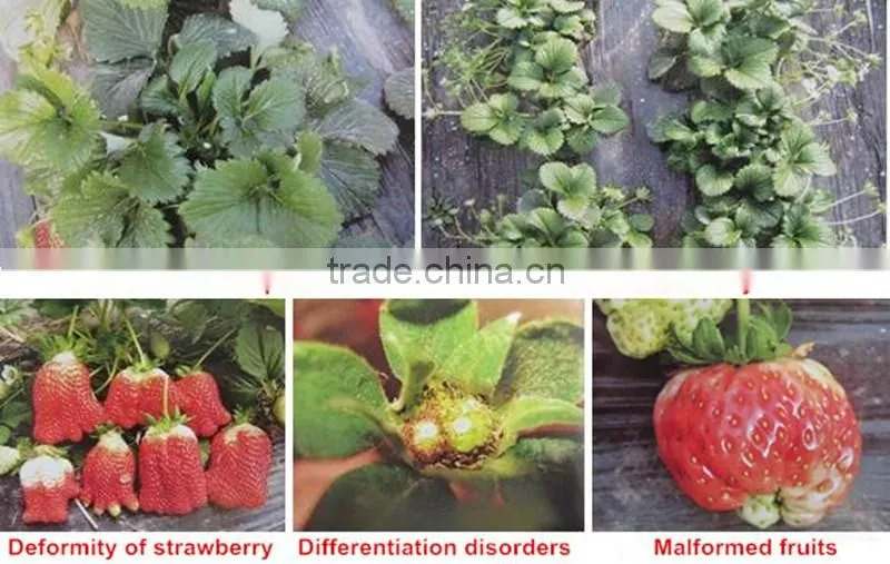 Huminrich 100% Water Soluble Potassium Humate Fertilizantes Para El Melon