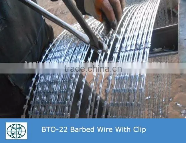 Concertina Galvanized Razor Barbed Wire Coil Fencing