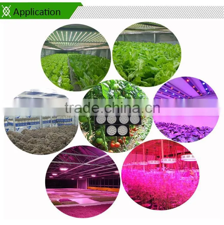 2016 Hot sale 360w hydroponics grow kit cheap 300w hydroponic grow light for hydroponics greenhouse